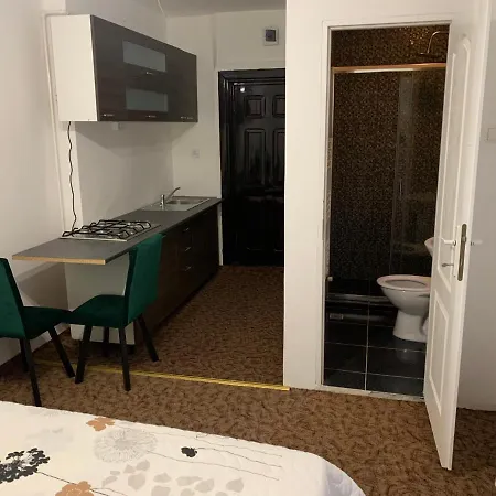 Apartament Luxury Republicii *