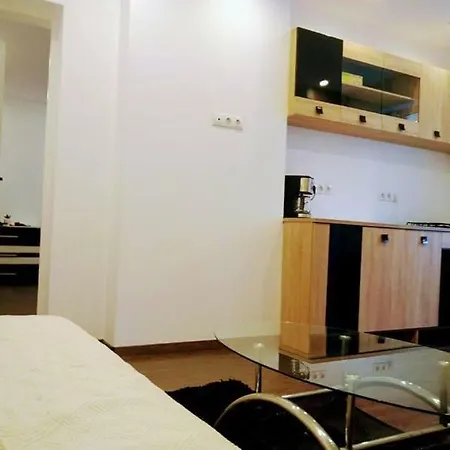 Luxury Republicii Apartament