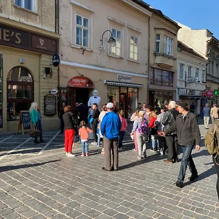 Апартаменты Republicii Old Town *