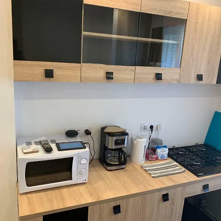 Apartament Luxury Republicii *