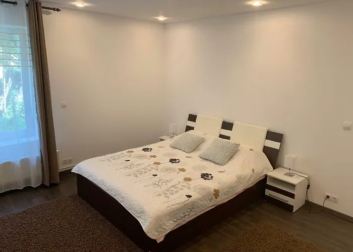 Luxury Republicii Apartment Brasov