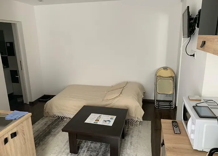 Luxury Republicii Apartment